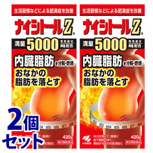 【第2類医薬品】【☆】 《セット販売》 小林製薬 ナイシトールZa (420錠)×2個セット おなかの脂肪を落とす ナイシトール
