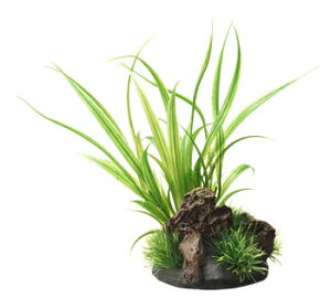 WFbNX i ANALoX VyX (1)   ANZT[ Ϗ܋pi