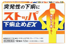 【第2類医薬品】ライオン　ストッパ下痢止めEX　(12錠)