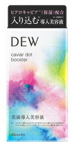 Jl{E DEW fE LrAhbgu[X^[ (40mL) Het ێet