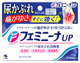 【第2類医薬品】小林製薬 フェミニーナUP (15g) 尿かぶれ治療薬 非ステロイド　【セルフメディケーション税制対象商品】