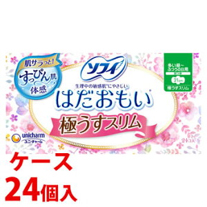 sP[Xt@j`[ \tB ͂ ɂX 210 `ӂ̓p H 21cm (24)×24 pivL@y򕔊Oiz