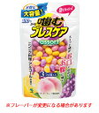 口氣預防用品｜小林製薬 噛むブレスケア アソート (100粒) 3つの味入り 口中清涼剤 ※軽減税率対象商品