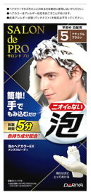 ダリヤ サロンドプロ 泡のヘアカラーEX メンズスピーディ 白髪用 5 ナチュラルブラウン (1セット) 男性用 白髪染め　【医薬部外品】