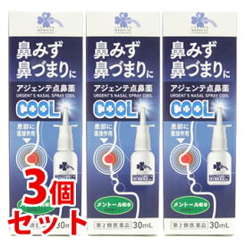 【第2類医薬品】《セット販売》　くらしリズム メディカル アジェンテ点鼻薬 クール (30mL)×3個セット 鼻水 鼻づまり　【セルフメディケーション税制対象商品】　【送料無料】　【smtb-s】