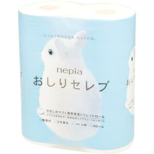 lsA Zu gCbg[ _u  (40m×4[) gCbgy[p[