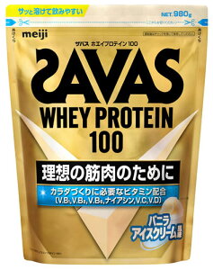  UoX zGCveC100 ojACXN[ (980g) veCpE_[ SAVAS@yŗΏۏi