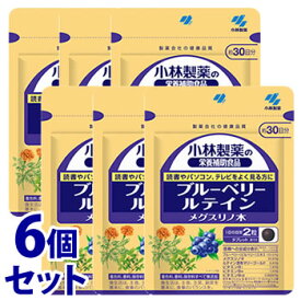 《セット販売》　小林製薬 小林製薬の栄養補助食品 ブルーベリー ルテイン メグスリノ木 約30日分 (60粒)×6個セット サプリメント　※軽減税率対象商品