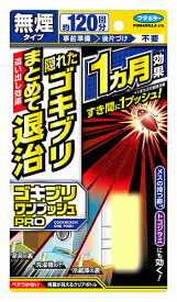 フマキラー ゴキブリワンプッシュプロ120回分 (30mL) ゴキブリ用殺虫剤 駆除剤　【防除用医薬部外品】