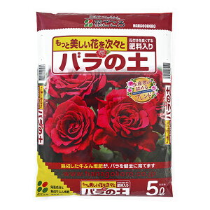 Ԃ o̓y (5L) ΂ 엿 K[fjOpi