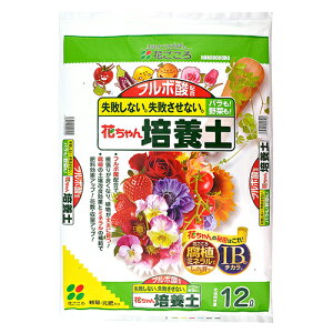 Ԃ Ԃ|{yab (12L) |{y K[fjOpi