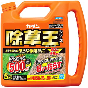 t}L[ J_ V[Y Ub\[WG[X (5L) 