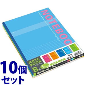 sZbg̔t@iJoV XCOEpm[g B5 30 Br SD-m-306B-5P (5pbN)×10Zbg 5F m[g