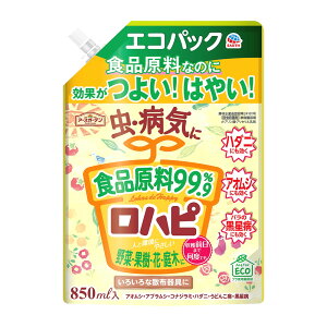 A[X A[XK[f ns GRpbN (850mL) EEۍ pE` Q 쏜 ΍ ϗtA K[fjO ƒ؉ |pi _
