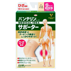 a oeR[ T|[^[ Ђp STCY  p[x[W (1) Gp ErErp