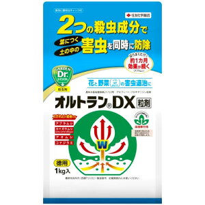 ZFw| IgDX (1kg) E K[fjOpi