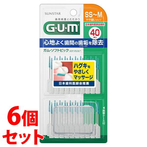 sZbg̔t@TX^[ K \tgsbN  SS`M (40{)×6Zbg GUM Ԑ|pi