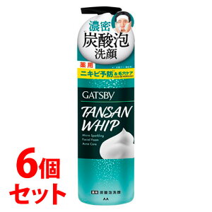 《セット販売》 マンダム ギャツビー マイクロスパークリング泡洗顔 アクネケア (200g)×6個セット 泡洗顔料 GATSBY 【医薬部外品】