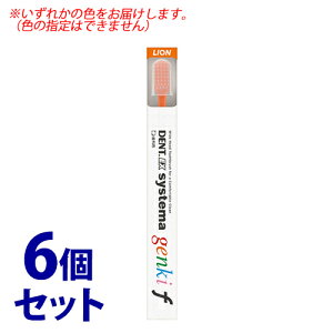 sZbg̔t@CI DENT.EX VXe} QL f (1{)×6Zbg uV