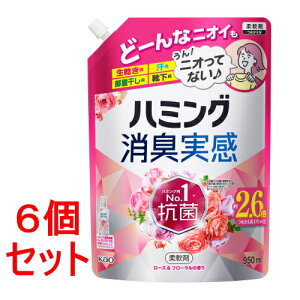 sZbg̔t ԉ n~OL@[Yt[̍@lߑւp (950mL)×6Zbg