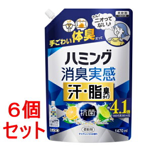 sZbg̔t ԉ n~OL@EL^Cv@NAVgX@(1.47L)×6Zbgyz