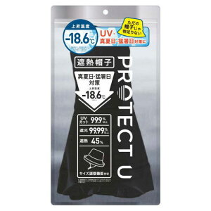 i.D PROTECT U�ՔM�X�q01�u���b�N -18.6�� UV�J�b�g��99.9�� �Ռ���99.99�� ���悯�X�q �������΍�