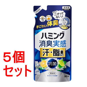 《セット販売》 花王 ハミング消臭実感 汗・脂臭タイプ クリアシトラス 詰替360ml×5セット