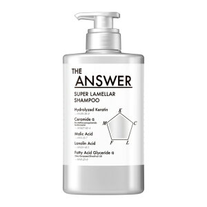 ԉ@WAT[ X[p[Vv[ |v xKbg&_tl̍ (400ml)@CoX mVR@THE ANSWER
