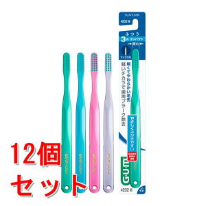 sZbg̔t@TX^[ K f^uV #202 3 RpNg ӂ (1{)×12Zbg GUM uV