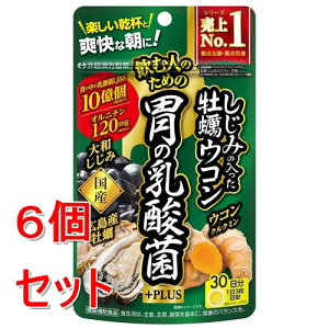 《セット販売》 井藤漢方製薬 しじみ牡蠣ウコン 胃の乳酸菌+PLUS 90粒×6個セット※軽減税率対象商品