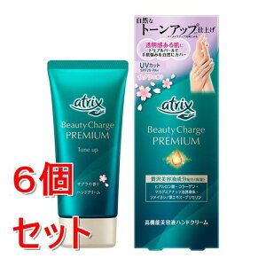 sZbg̔t ԉ AgbNX@r[eB[`[Wv~A@g[Abv@nhN[@(TN̍)×6Zbg ێ UVJbg SPF20EPA+