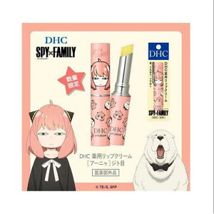 �f�B�[�G�C�`�V�[ DHC�@��p���b�v�N���[���@[�A�[�j��]�W�g�ځ@�X�p�C�t�@�~���[�@���b�v�@�ێ�