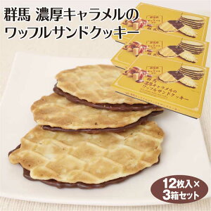 ワッフル お土産 クッキー ビスケットの人気商品 通販 価格比較 価格 Com