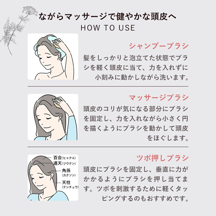 楽天市場】【期間限定】20％OFFクーポン有！2/4 20:00 ~ 2/10 9:59まで 