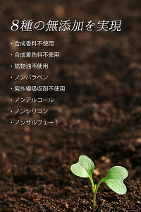 泡