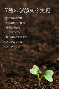 泡