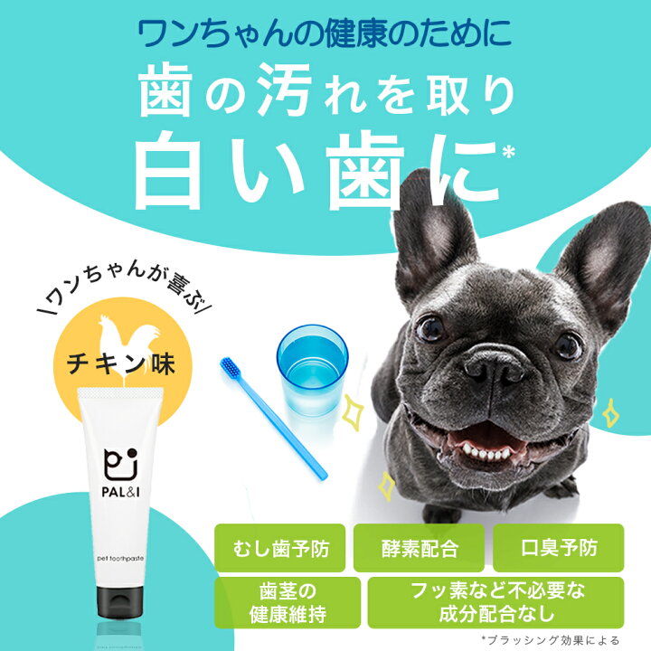 楽天市場 犬 はみがき ペット むし歯 口臭 予防 歯石 を取り 歯 を白くする 酵素配合 犬 用 歯磨き 指 で磨く ペースト タイプ フッ素 発泡剤 不使用 犬 歯ブラシ 不要 ベビー 大人 超小型犬