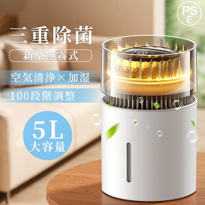 y2025ŐV^z C e 5L C@ ő40Ή 3d 㕔 @ 100iK xm }CiXCI  ECX΍ É ȃGl ߓd 