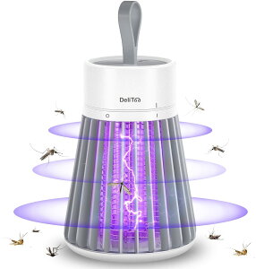 y2025NVr[Tz dE dC t˖ UVU ߒ dEd  ECg Ꮬ 쏜 @ xbh[ 䏊 Q x