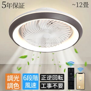 y 5Nۏ؁Ki zV[Ot@Cg V[Ot@ t@tƖ LED V[OCg 8 10 12 T[L[^[  @ É VƖ Ɩ F 