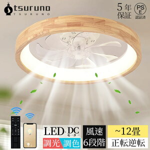 yD]I2025聚KizV[Ot@Cg DC[^[ LED  k dC V[Ot@ IV Ɩ 6 8 10 12 F APPΉ t@tƖ ʒ