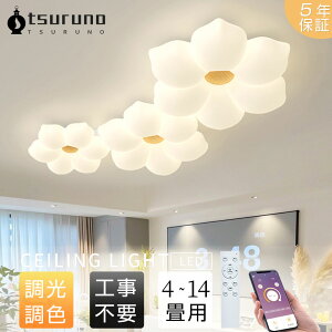 y5Nۏ؁zV[OCg LED    rO Q q kch 68101214 F LED 铔 _炩 ԐڏƖ  VtƖ rO 