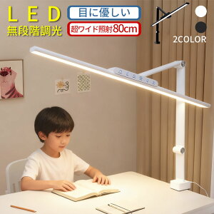 y2025VozfXNCg ڂɗD LED fXNCg  dCX^h RfXNCg  F fBXvC F L 60cm 80cm 3֐ Nv Ch ׋ 傫  