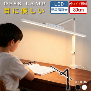 y2025VozfXNCg ڂɗD LED fXNCg  dCX^h RfXNCg  F fBXvC F L 60cm 80cm 3֐ Nv Ch ׋ 傫  