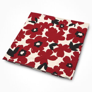 NbVJo[ { A bh 60×60cm 100 傫 傫 傫 rbO [W W{ ԕ t[ A {^jJ k  킢  w ZAe 