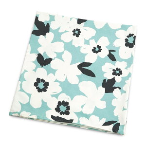 zcJo[ 55×59cm 唻 A 100 ԕ t[ A {^jJ k 킢  fD ʋn t@Xi[ ԂƂ Uug ԂƂ c