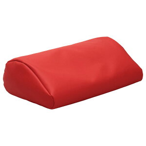 ̈ʕϊ h~ r[YNbV 44×29×14cm  Jo[ { GT-X AGnRۏ R PVCU[ NbVPA ጗\h Q pT|[g ͕U ̈U  ⏕ 