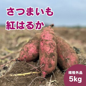 ܂ g͂邩 5kg 󂠂i KiOi Tc}C Ă 錧Y  ₫ H@ e XC[c 