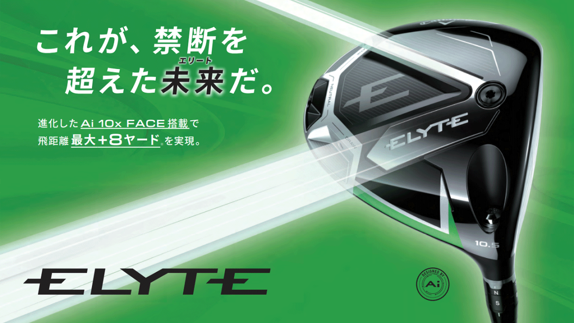 TAシリアル　ツアーバージョン　ELYTE 5w 18° ヘッドとカバーのみ TAシリアル ツアーバージョン ELYTE 5w 18° ヘッドとカバーのみ