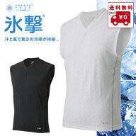【★5/19まで★ほぼ全品10%OFFクーポン】氷撃 FTP ノースリーブVネックシャツ